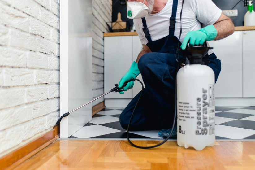 Why Texas Residents Are Switching to Recurring House Cleaning and Pest Control Services