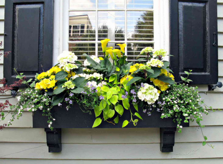 What Types of Greenery Travel Best in Boxes?