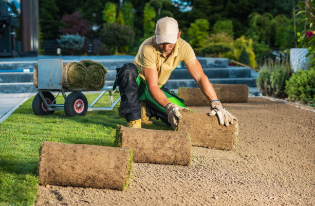 Landscaping Mississauga: Expert Design and Maintenance Services for Every Yard